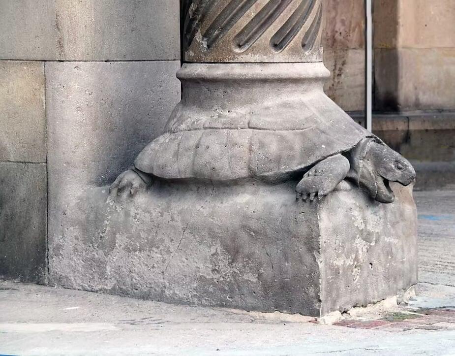 Reflections on a Turtle