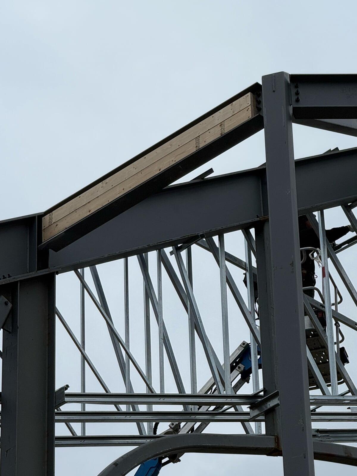 Immaculate Conception Jackson